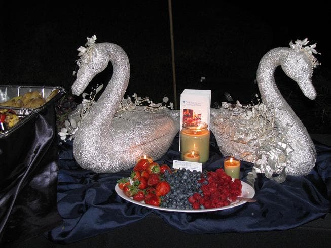 Silver swan display